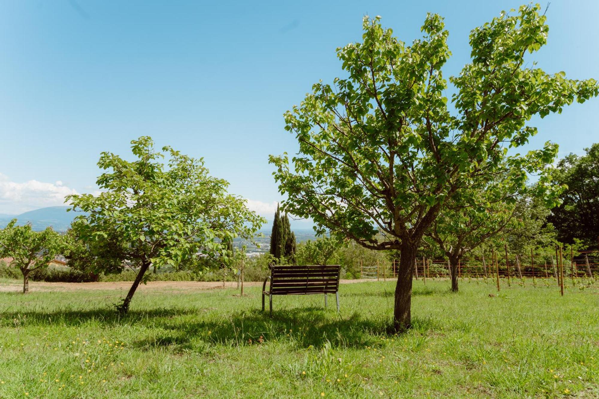 Agriturismo San Felicissimo Perugia Kültér fotó