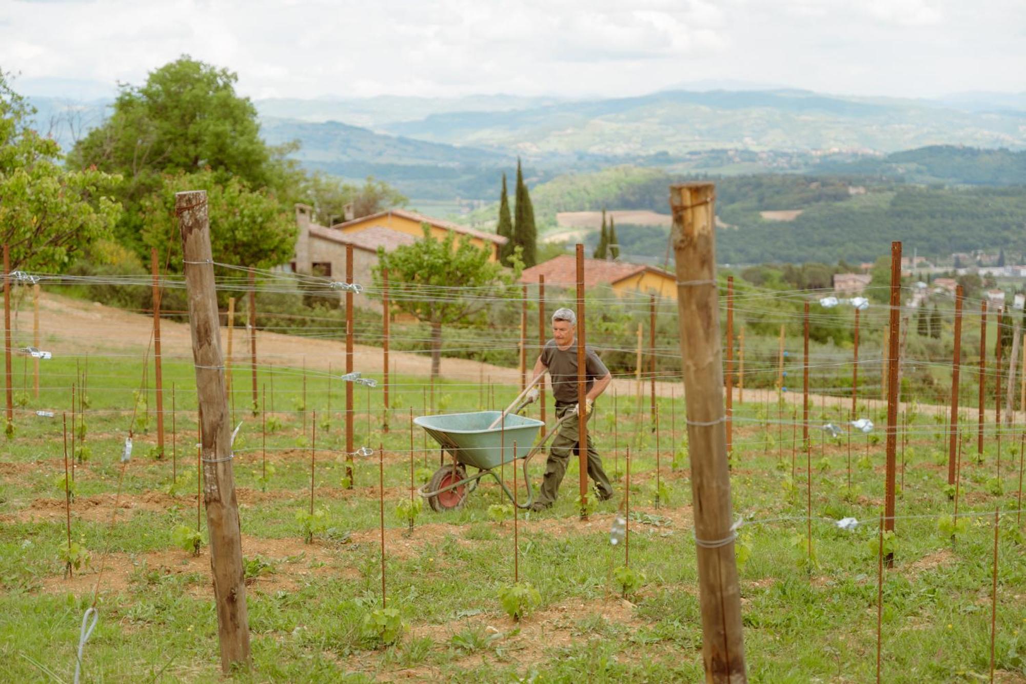 Agriturismo San Felicissimo Perugia Kültér fotó
